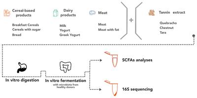 Enrichment of Food With Tannin Extracts Promotes Healthy Changes in the Human Gut Microbiota